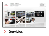 Servicios